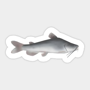 White Catfish Sticker